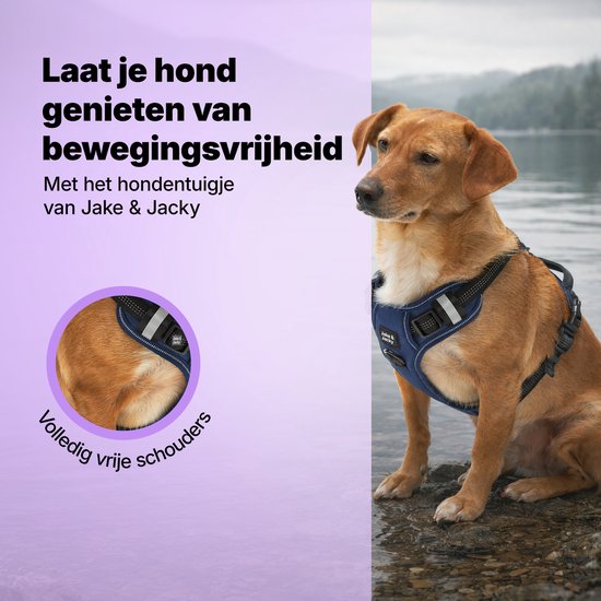 Jake and Jacky Hundegeschirr – Anti-Zug-Geschirr – Hundegeschirr – Y-Geschirr für Hunde – Reflektierend – Blau – Größe S