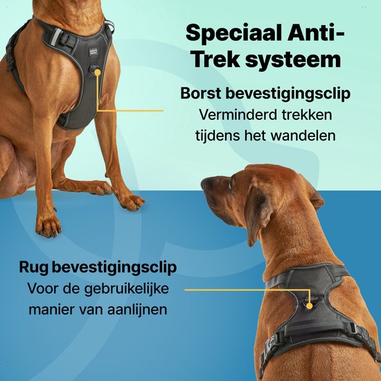 Jake and Jacky - Hundegeschirr - Y-Geschirr Hund - Reflektierend - Größe L - Schwarz