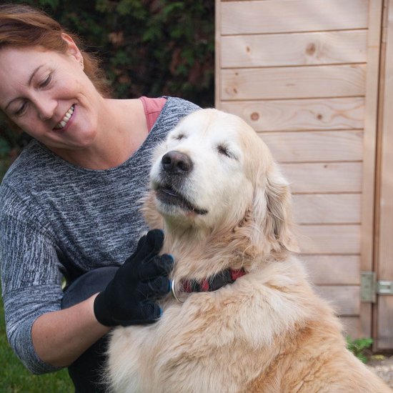 True Touch Haustierhandschuh – Fellpflegehandschuhe für Katzen und Hunde – Haustierbürste – Massagehandschuh – Hundesalon – Haustierhandschuh – Tierbürstenhandschuh