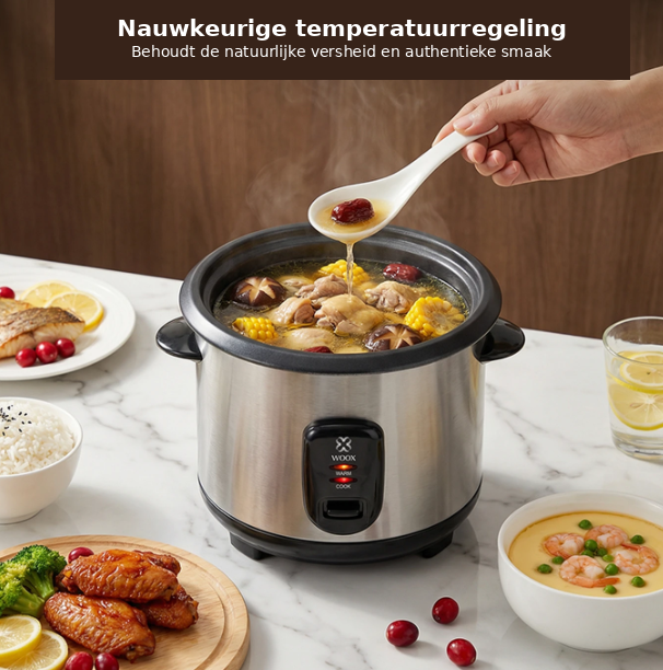 Woox Elektrischer Reiskocher 1 Liter – Schwarz & Edelstahl – Glasdeckel