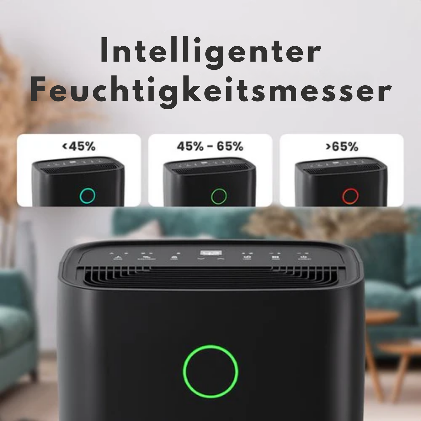 Auronic Luftentfeuchter - Compact Series - 20L pro Tag - Waschtrockenfunktion - Schlafzimmer, Badezimmer und Wohnzimmer - Feuchtigkeitsentferner für den Haushalt - Schwarz