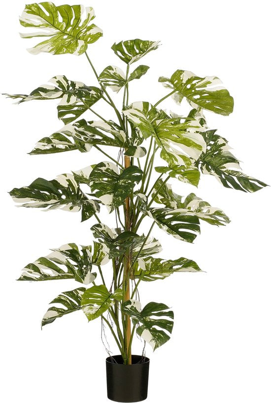 Mica Decorations Monstera Baum Künstliche Pflanze - H140 x Ø120 cm - Grün