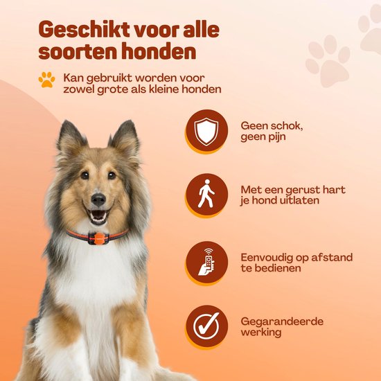 Vulpes Goods® - Anti-Bell-Halsband Pro mit Fernbedienung - Anti-Bell-Gerät - 3-in-1-Trainingshalsband - kein Schock - Erziehungshalsband für kleine & große Hunde - wasserdicht - wiederaufladbar - Vibration & Audio