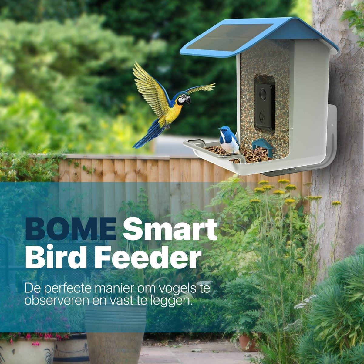 BOME - Vogelfutterhaus - Kamera und Audio - AI-Vogelerkennung - Vogelfutterhaus aufhängen - Vogelfutter