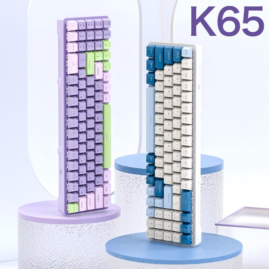 FREEWOLF K65 Mechanische Gaming-Tastatur - seitliche RGB-Beleuchtung - 78 Tasten - Mini-NumPad - roter Schalter - Blueberry