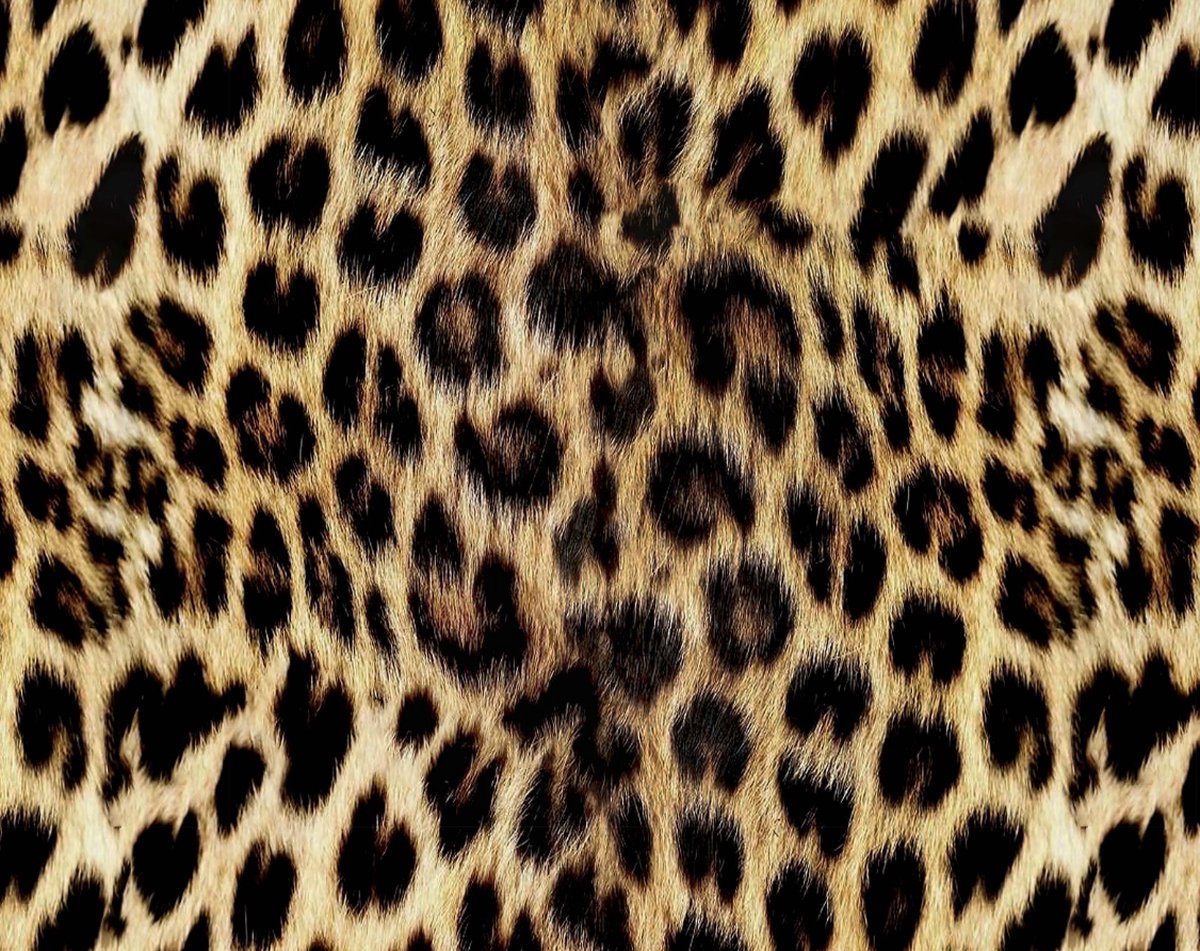 Pure Bettbezug "Leopard" - Braun - 140x200cm - Mikrofaser