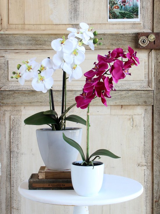 Mica Decorations Phalaenopsis-Kunstpflanze im Blumentopf „Tusca“ – H 60 x Ø 16 cm – Lila