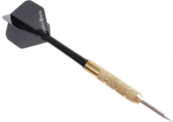 Masterdarts Dartscheibe 45cm x 2 cm mit 2 Pfeil-Sets