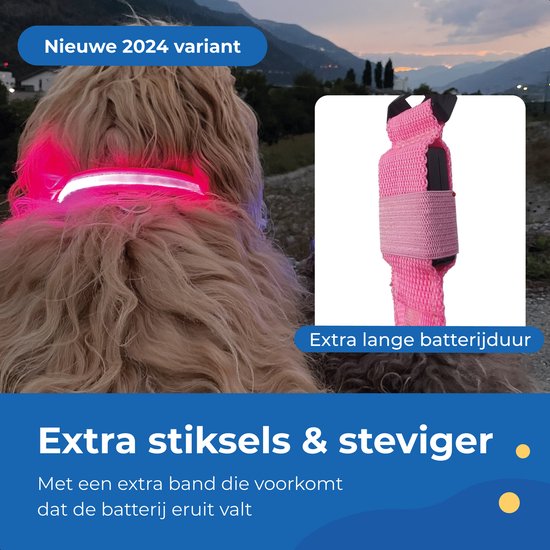 Dutchwide Leuchthalsband Hund - Extra Stark - XS 28 cm bis 38 cm - Hundehalsband - Schnapphalsband - Verstellbar - Reflektierend