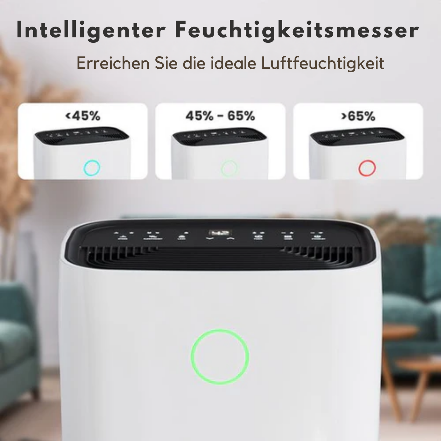 Auronic Luftentfeuchter - 16 l Kapazität pro Tag - Wash-Dry-Funktion - Nachtmodus - Für Schlafzimmer & Wohnzimmer - Weiß & Kunststoff