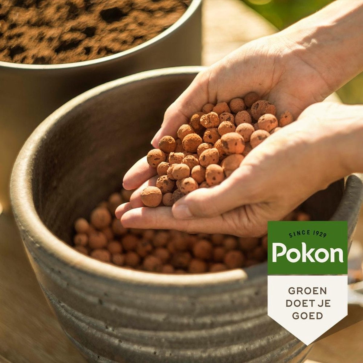 Pokon Hydro Körner - 10l - Lehmkörner - Gut für die Drainage