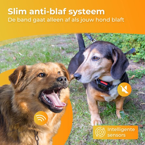 Nuvance Anti-Bell-Halsband Digital - Anti-Bell-Gerät ohne Schock - wiederaufladbar - Bellen Halsband für Hunde & Welpen - 6 Stufen