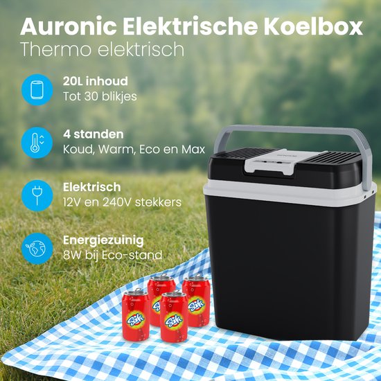 Auronic Elektrische Kühlbox 12 V und 230 Volt – 20 l – Camping-Kühlschrank – Auto – Kühlen und Heizen – Frigobox – Schwarz