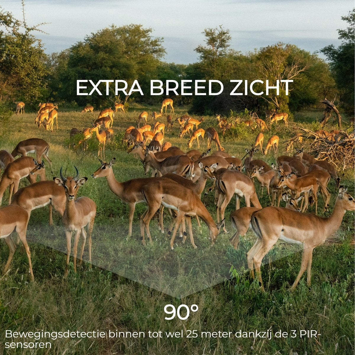 Denver Wildkamera mit Nachtsicht - Live-Bilder (APP) - FULL HD - Wasserdicht - WCT8020W