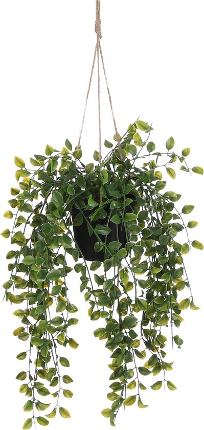 Mica Decorations Ficus Künstliche Hängepflanze im Topf - H46 x Ø20 cm - Grün