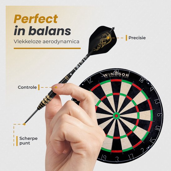 WINDSORÂ¬Ã† Cavelier 3 Dart Set mit 6 Darts, Deluxe Aufbewahrungsbox, 12 Flights, Flight Protectors, Dartspitzer und Dartwerkzeug