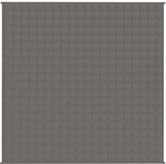 vidaXL – Gewichtsdecke – 200 x 200 cm – 13 kg – Stoff – grau