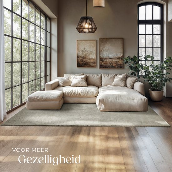 tectake® Kurzflorteppich - 160 x 230 cm - Sand - Teppich für Wohnzimmer, Schlafzimmer, Esszimmer - Pflegeleicht und waschbar - Anti-Rutsch-Unterlage - Allergikerfreundlich - Verschiedene Größen und Farben