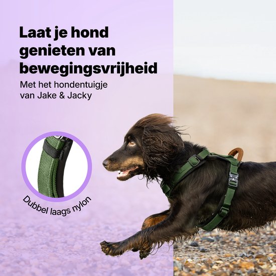 Jake und Jacky Hundegeschirr Hund Medium - Anti-Pull-Geschirr - Y-Geschirr Hund - Hundegeschirr - Grün - Größe M