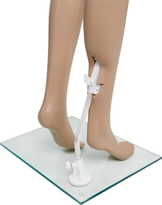 tectake - Schaufensterpuppe Schaufensterpuppe Modell "Damen" - zerlegbar - 402663