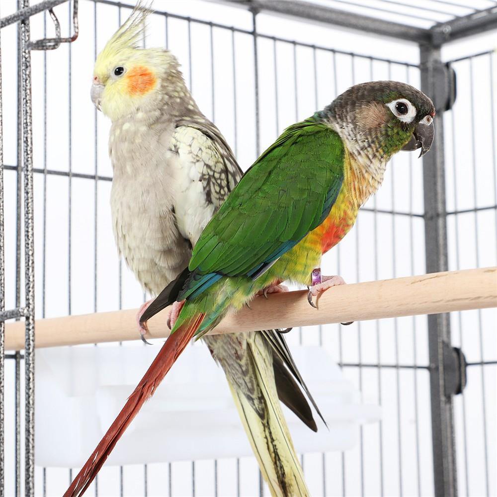 Yaheetech Vogelkäfig 132 cm – Schwarz – Groß – Mit Ständer – 3 Sitzstangen – 4 Futtertröge – Auf Rädern