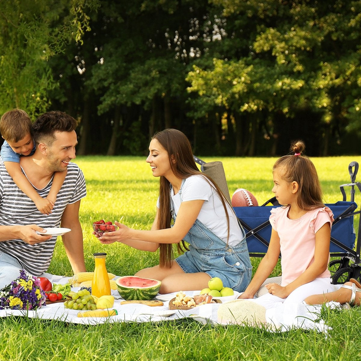 LifeGoods Wagon - faltbar - bis zu 120KG - 90L - waschbares Polyester - 120x80cm - Blau