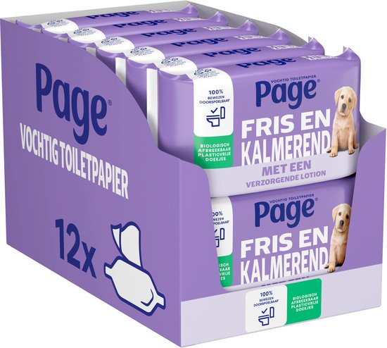 Page® feuchtes Toilettenpapier - Frisch und wohltuend (Care) - mit einer pflegenden Lotion - 456 Blatt - 12 x 38 Stück - Sparpackung