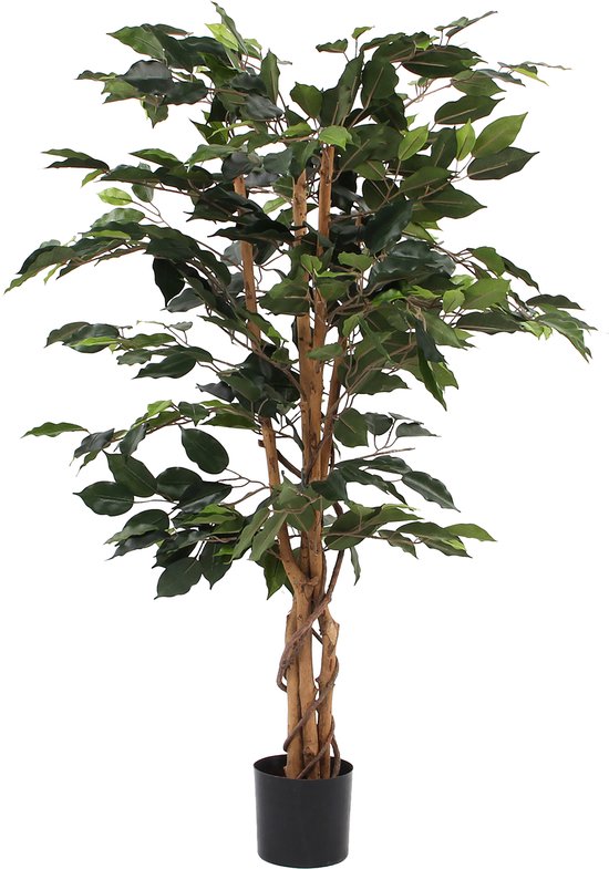 Mica Decorations Ficus Künstliche Pflanze - H110 x Ø65 cm - Grün