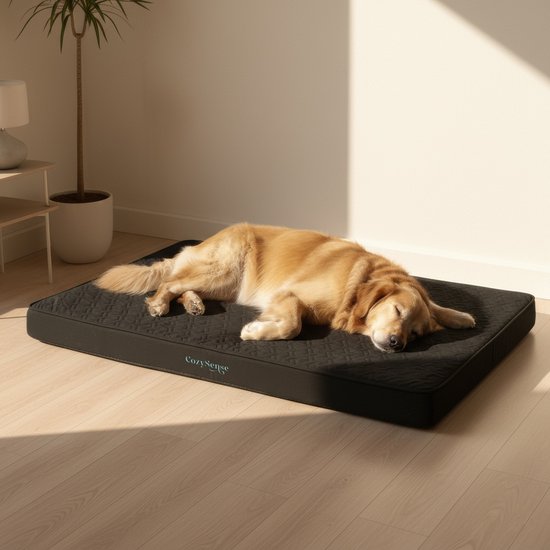 CozySense® Orthopädisches Hundekissen 60 X 40 Cm - Größe S - Wasserdicht - Geeignet als Sitzkissen & Hundebett - Waschbarer Bezug - Schwarz