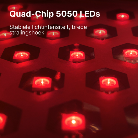 Panacea Aurora LED-Gesichtsmaske – Bordeaux