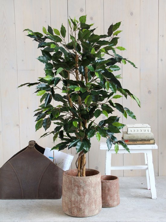 Mica Decorations Ficus Künstliche Pflanze - H110 x Ø65 cm - Grün