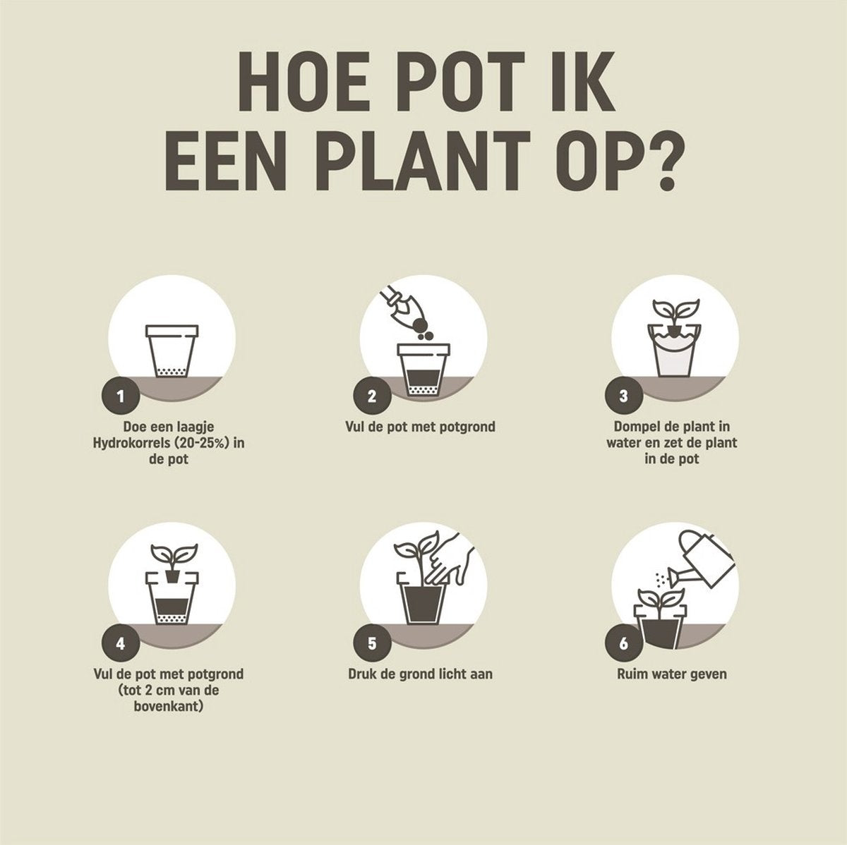 Pokon Houseplants Potting Soil - 10l - Blumenerde (Zimmerpflanze) - 6 Monate Ernährung