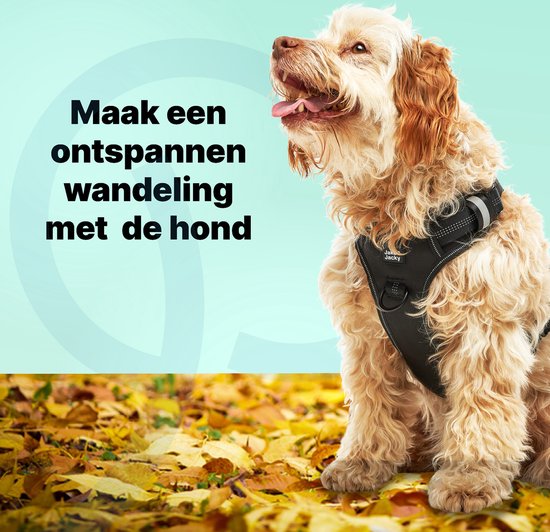 Jake und Jacky Hundegeschirr - Anti-Zieh-Geschirr - Hundegeschirr - Y-Geschirr Hund - Reflektierend - Schwarz - Größe M