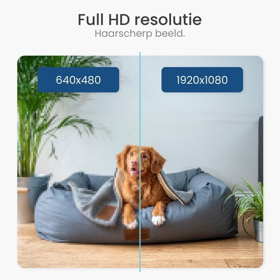 Gologi Haustierkamera - Hundekamera - Haustierkamera - Sicherheitskamera - Sicherheitskamera - Für alle Haustiere - Mit Wifi