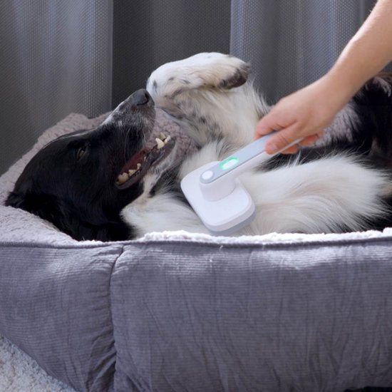 PiddiPet IonBrush Ionen-Tierhaarbürste – Selbstreinigend & batteriebetrieben – Fellpflege für Hunde & Katzen – Weniger statische Aufladung, glänzendes Fell – 2er-Pack