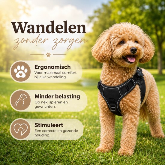 By Cee Cee Hundegeschirr – Anti-Zug-Geschirr – Y-Geschirr für Hunde – Reflektierendes Hundegeschirr – Schwarz – Größe S