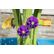 Step2 Summer Showers Splash Tower Wassertisch – 66 cm – Blau