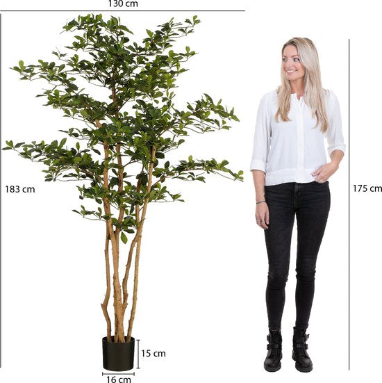 Mica Decorations Künstlicher Olivenbaum im Topf - H183 x Ø130 cm - Grün