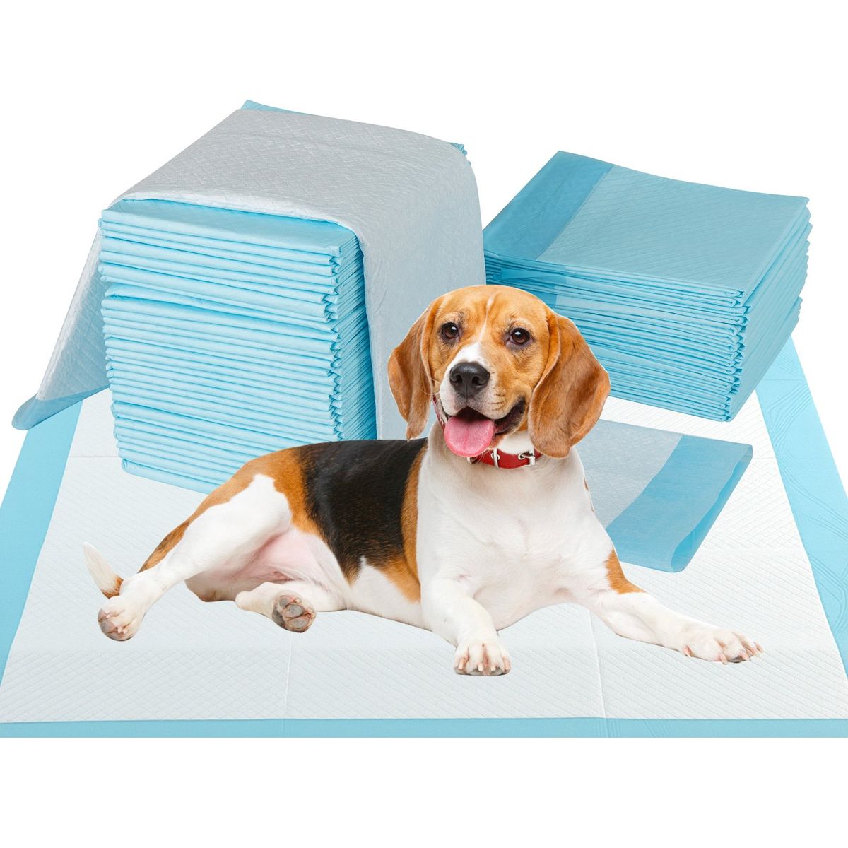 Coast Welpen-Trainingsmatten – 6-lagige Saugfähigkeit – Einweg – 90 x 60 cm – 150 Stück – blau/weiß