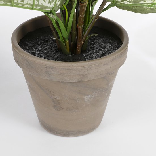 Mica Decorations Dieffenbachia Künstliche Pflanze im Blumentopf Stan - H70 x Ø55 cm - Grün