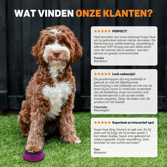 Vulpes Goods® Pets - PRO Sprechende Knöpfe für Hunde - Dogbuttons - Lassen Sie Ihr Haustier sprechen - Hundespielzeug - Hundetraining - Inklusive Trainingsaufkleber
