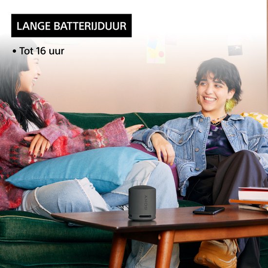 Sony SRS-XB100 – Tragbarer Bluetooth-Lautsprecher – Schwarz