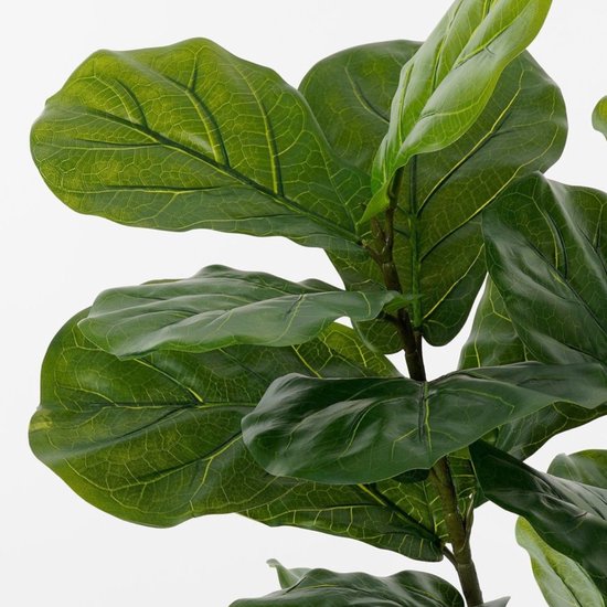 Mica Decorations Ficus Lyrata Kunstpflanze – Kunststoff-Zimmerpflanze im schwarzen Topf – wasser- und UV-beständig für drinnen und draußen – pflegefreie botanische Dekoration – H 150 x Ø 50 cm – grün