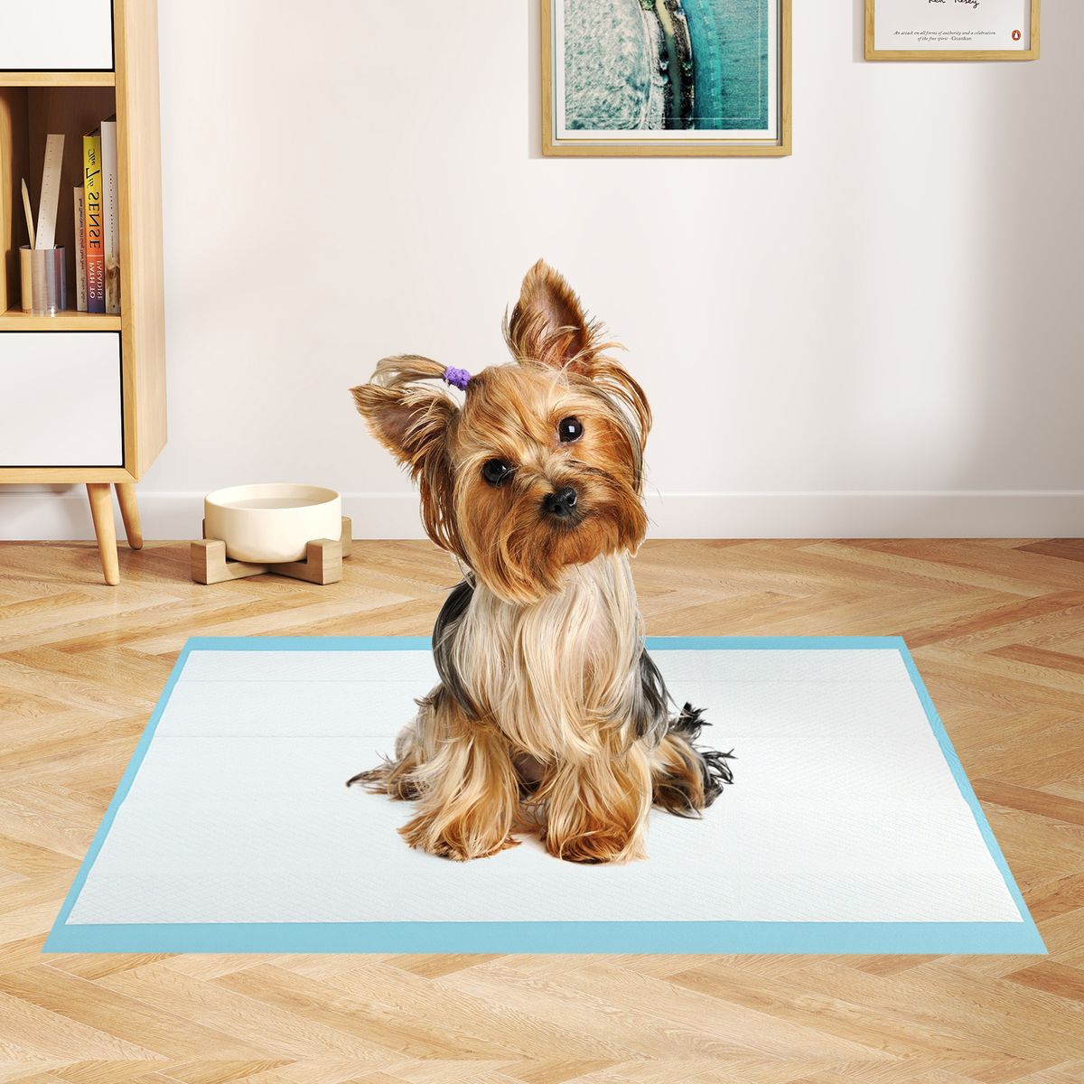 Coast Haustier-Plasmatten – 6-lagig – Auslaufsicher und extrem saugfähig – 60 x 43 cm – 300 Stück – Blau/Weiß