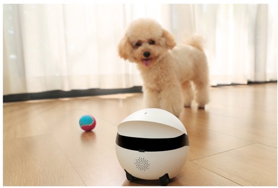 Enabot ROLA Mini – Intelligenter Roboter für Haustiere – 2304×1296-Kamera – 5000-mAh-Akku