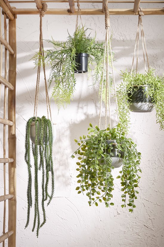 Mica Decorations Ficus Künstliche Hängepflanze im Topf - H46 x Ø20 cm - Grün