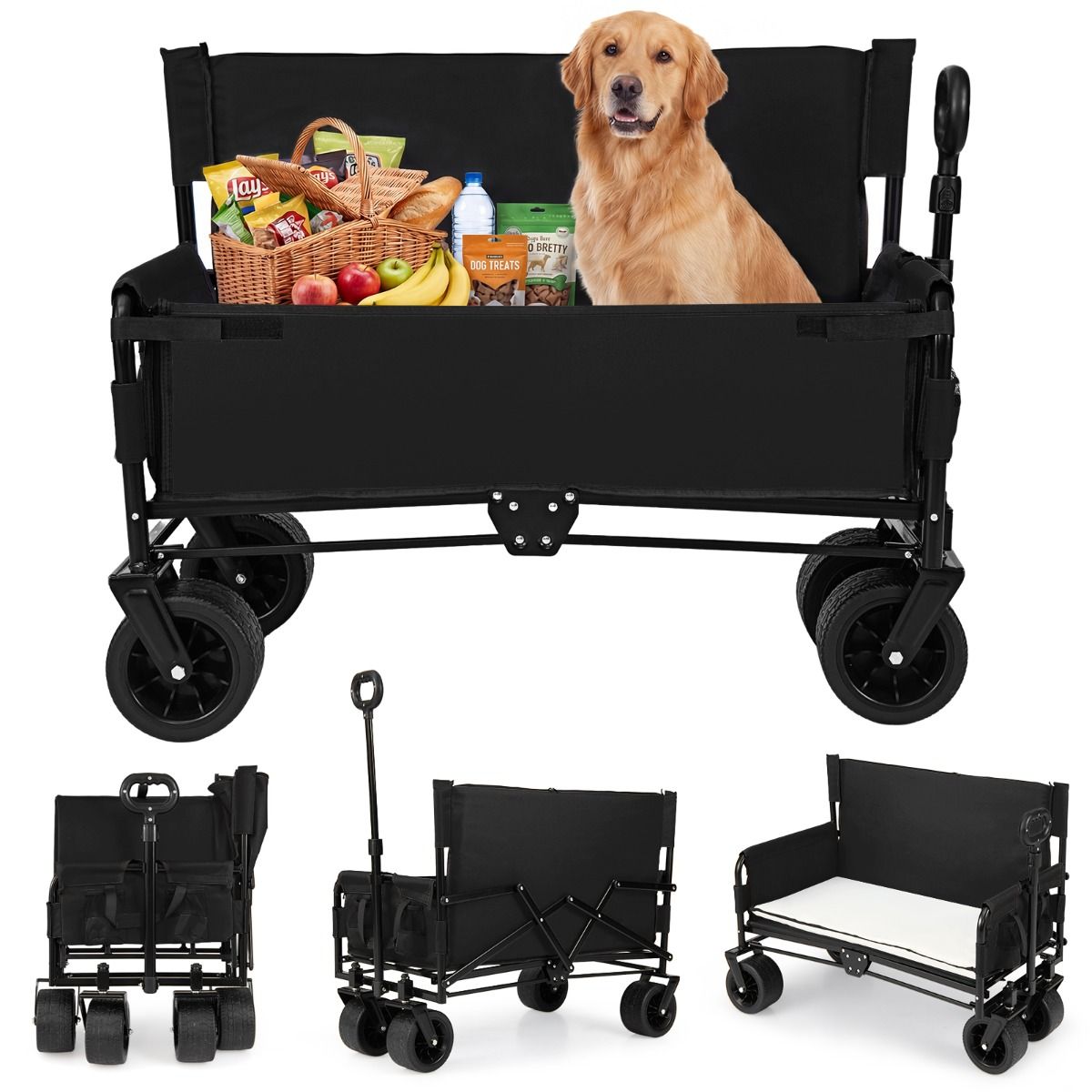 Coast Faltbarer Kinderwagen-Sitz – 2-in-1 mit verstellbarem Schiebegriff – geländegängige Räder – schwarz