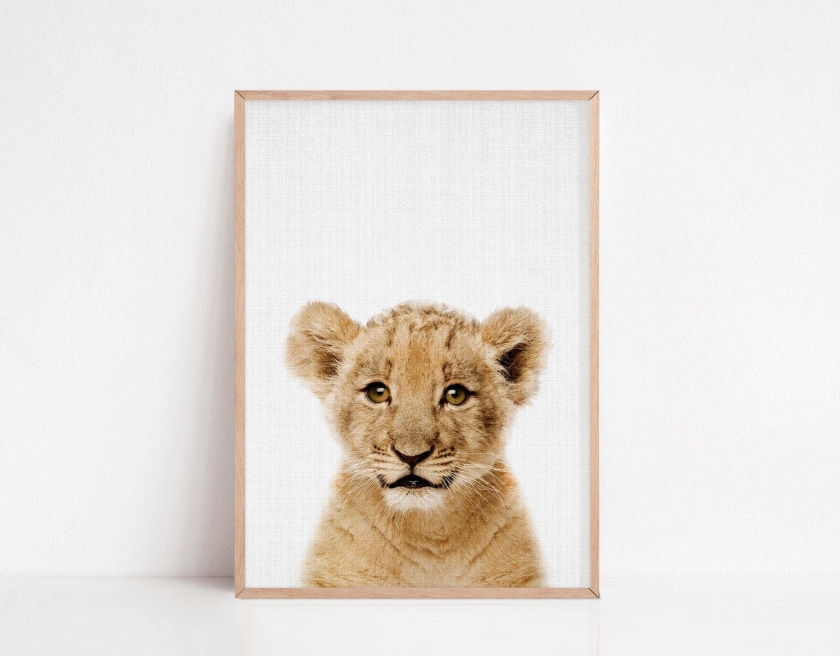 Generic - Tiere Poster - 6 Poster - 21x30 cm - Stabiles Papier - Safari