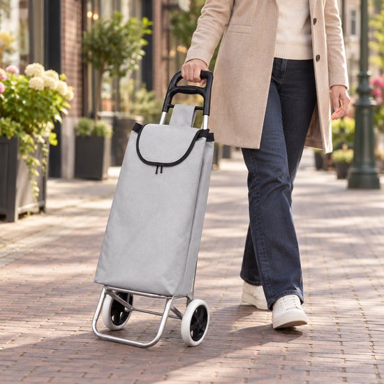BE strong Einkaufswagen 25 l – 2 Räder – Grau