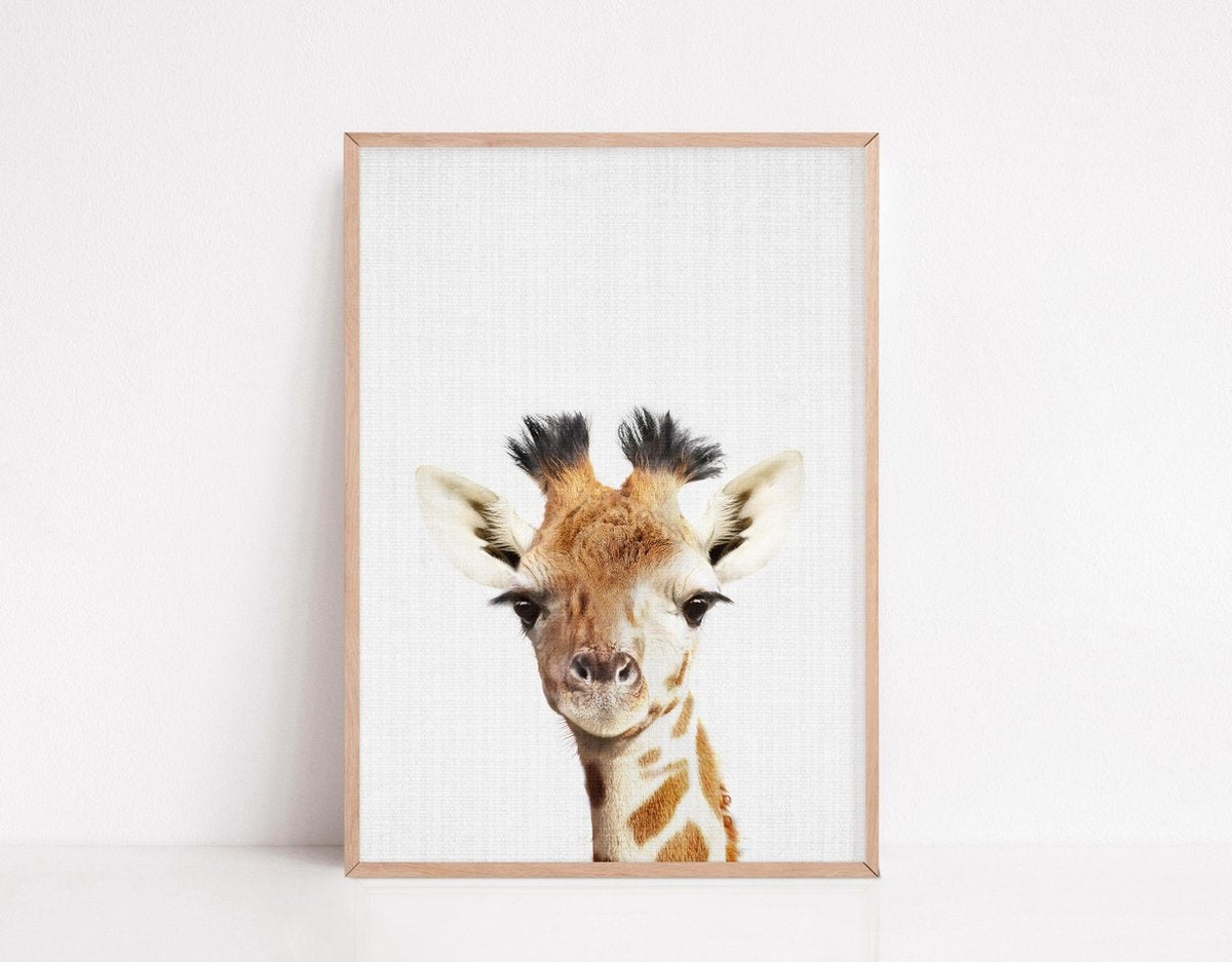 Generic - Tiere Poster - 6 Poster - 21x30 cm - Stabiles Papier - Safari